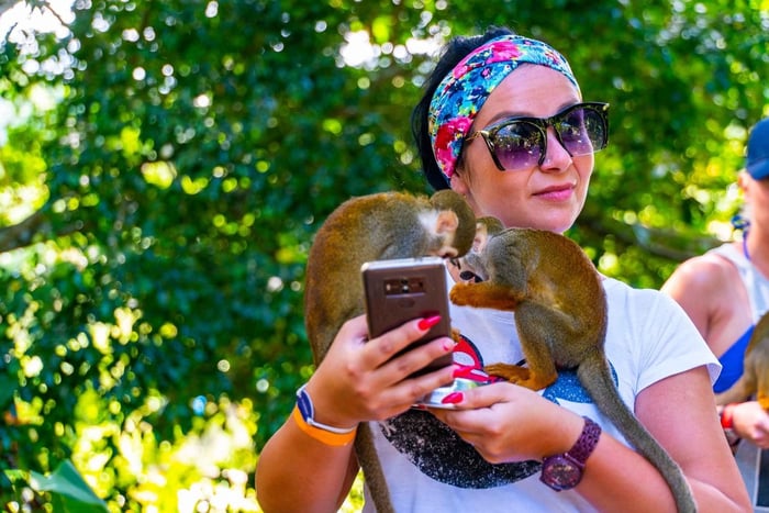 Samaná: Monkeyland and Open-Air Safari Truck Tour