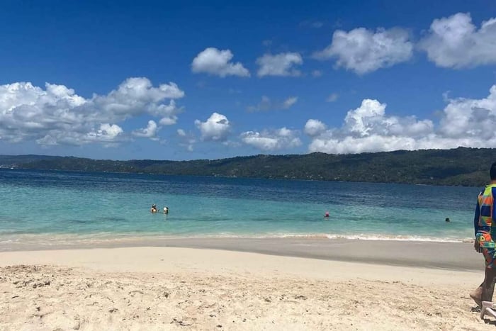Samaná: Whale Watching and Cayo Levantado Day Trip