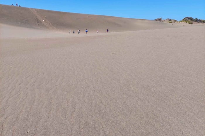 Santo Domingo: Salinas Desert Sandboarding & Snorkeling Tour
