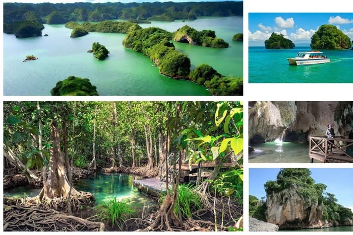 Saint-Domingue : excursion à Samaná, Los Haitises et Cayo Levantado