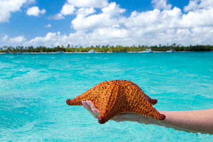 Ilha Saona Premium Exclusive Praia 1 Dia Inteiro ManoJuan Buffet