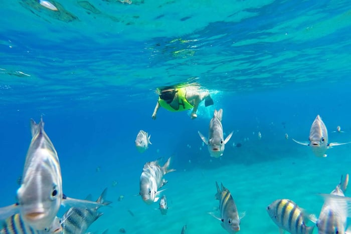 Snorkeling Tour & Sosua Beach Day