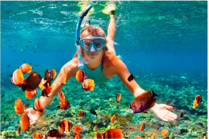 Sosua Snorkeling & Beach Relaxation Tour