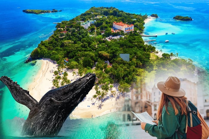 Observation des baleines + Cayo Levantado