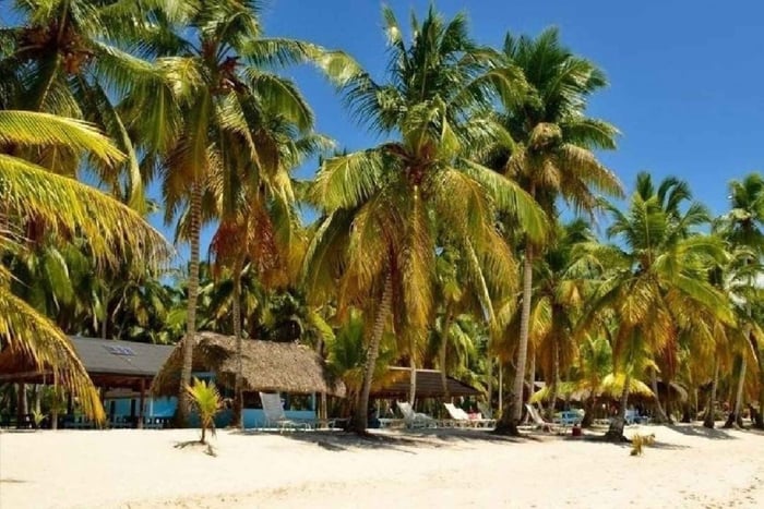 Punta Cana: Dagstur til Saona Island med lunsj og drikke