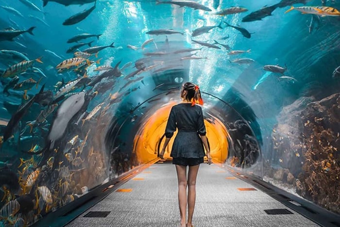 Dubaï : Tour de ville avec Burj Khalifa et billet pour le zoo sous-marin