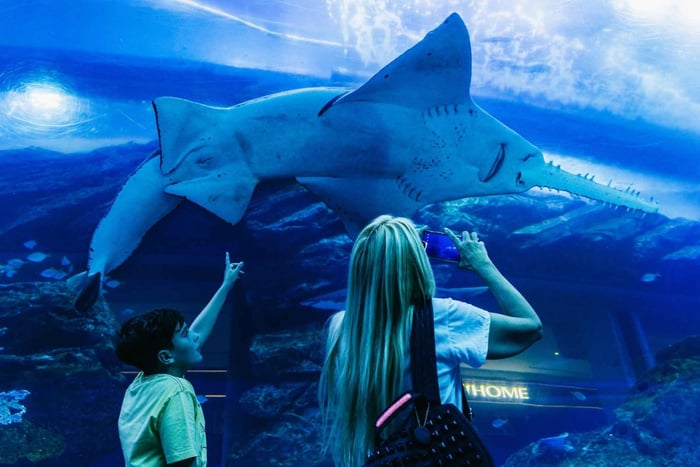 Dubai: Aquarium & Burj Khalifa Levels 124 & 125 Combo Ticket
