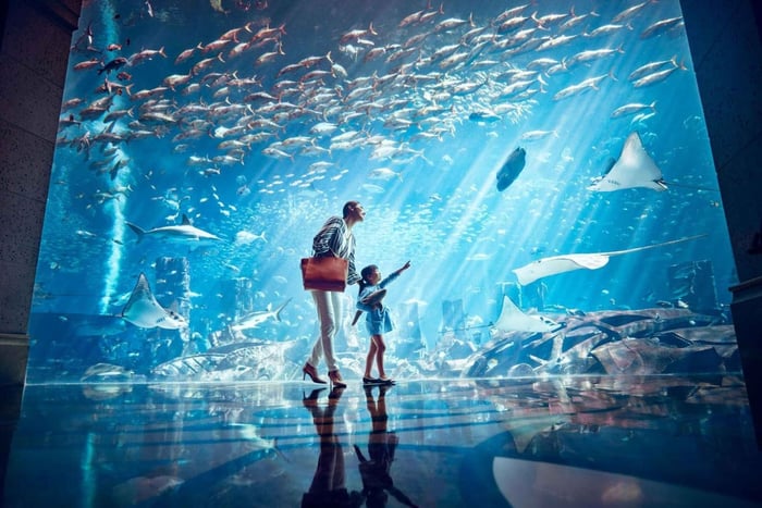 Dubai: inngangsbillett til Lost World Aquarium