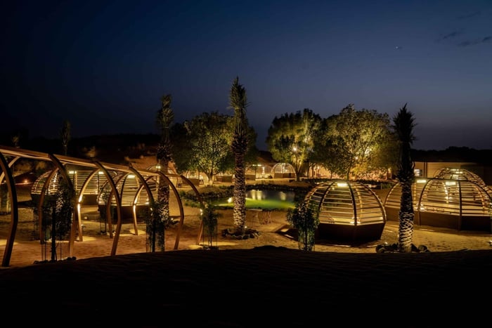 Dubai: Luxury Safari with Michelin-Curated 4-Course Dinner