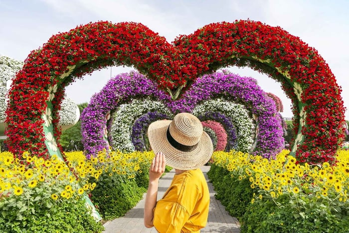 Dubai: Miracle Garden-inngangsbillett med hotelltransport