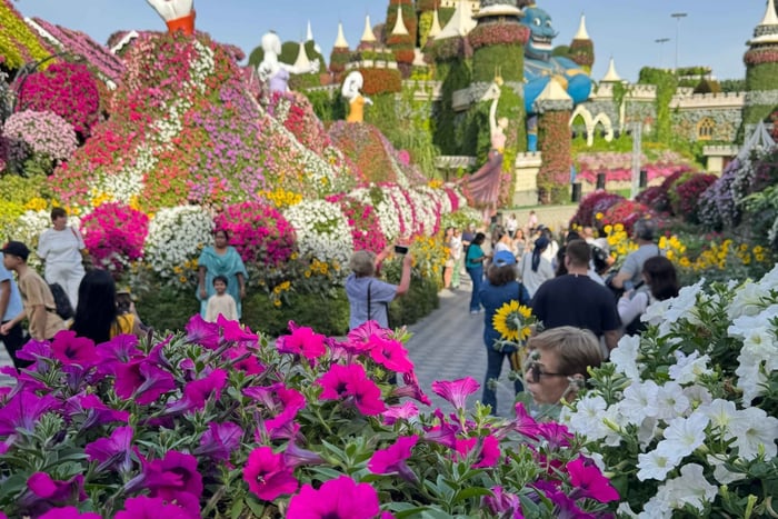 Dubai: Miracle Garden Tour With Return Transfer