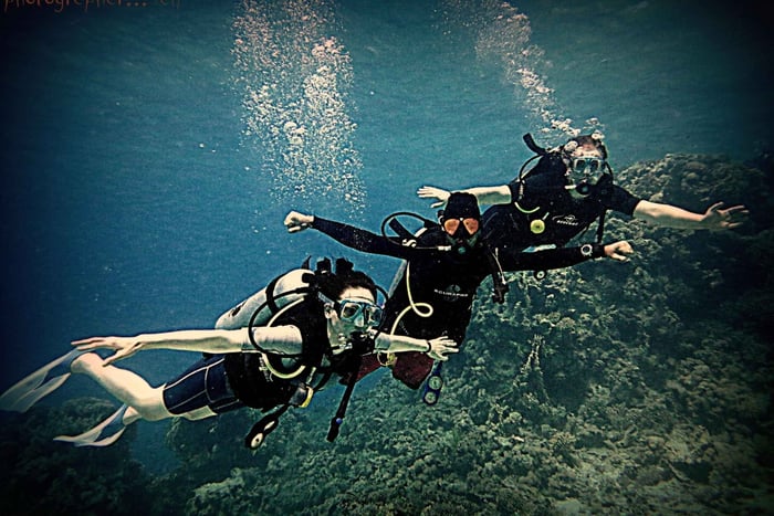 Dubai to Fujairah: 2 Dives with BBQ & Transfer