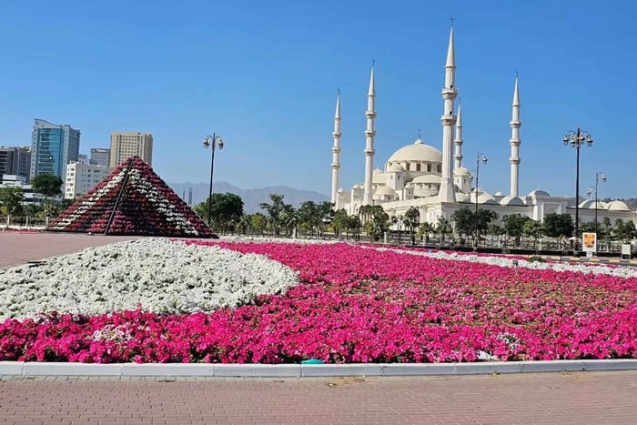 From Dubai - Fujairah Private shared Tour with Driver/Guide