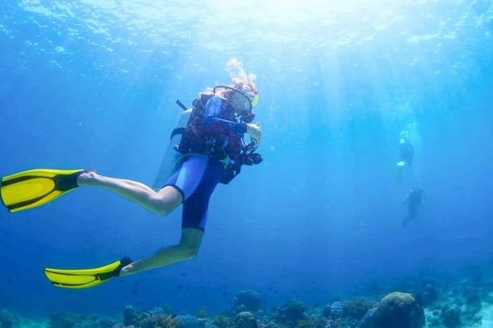 From Dubai - Fujairah Scuba Dive and Snorkeling