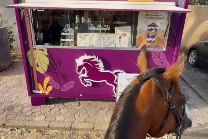 Dubaj: Jazda konna z przystankiem Ride-Thru Açaí