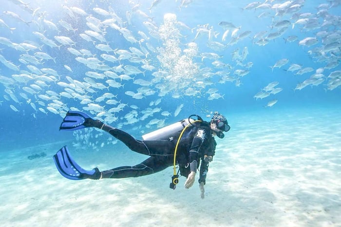 PADI Basic Scuba Diving Course