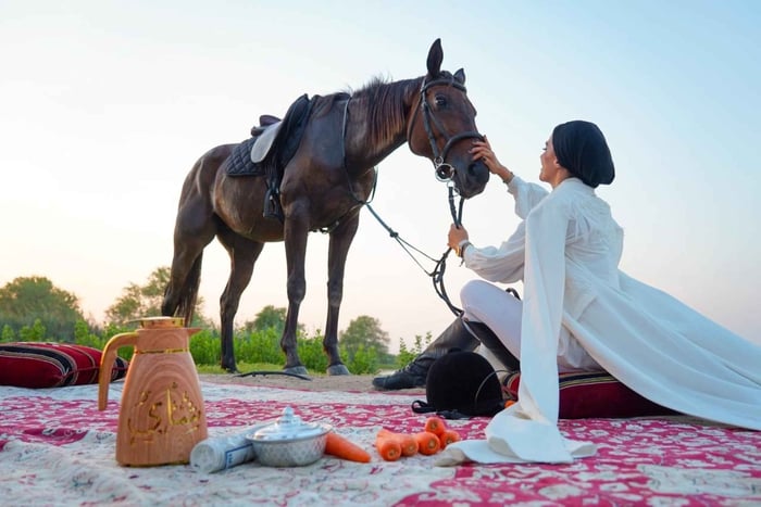 Private Dubai Desert Equestrian Escape