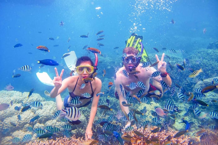 Snorkeling Trip to Dibba Al-Fujairah
