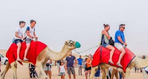 Afternoon Desert Safari: Sandboarding, Camel Ride, Live Shows with BBQ Dinner