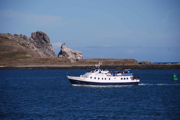 Dublín: crucero por la bahía de Dublín de Howth a Dun Laoghaire