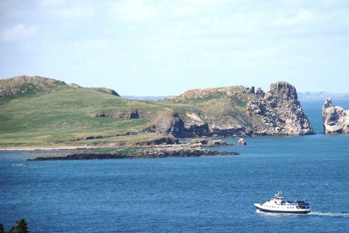 Dublin: Howth Cliffs and Ireland's Eye Boat Cruise