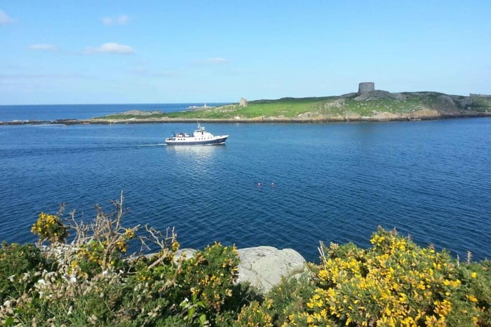 Dublín: paseo en barco por Dun Laoghaire y la isla de Dalkey