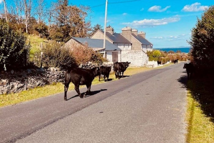 From Dublin - Achill Island and Westport Day Trip