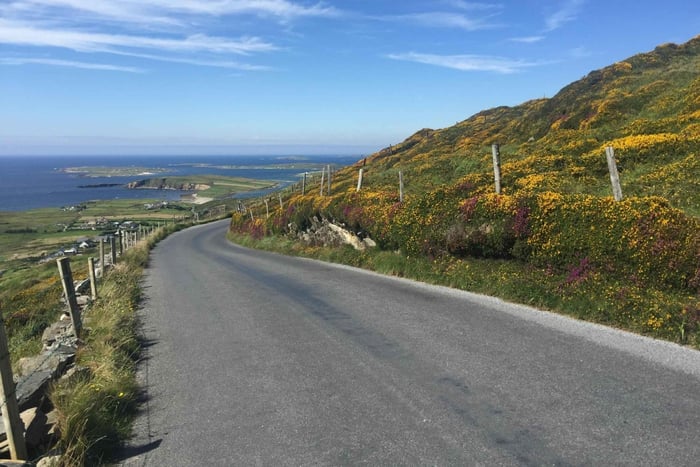 From Dublin: Connemara and Galway Bay Day Tour