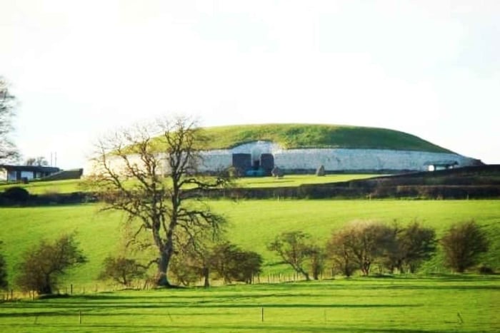 Vanuit Dublin: Newgrange, Trim Castle en de heuvel van Tara