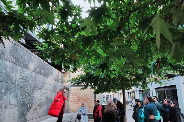 Homes of Dublin, Hidden History