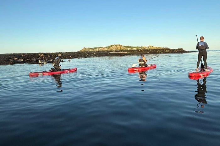 Howth: Paddleboarding Lesson in Howth Harbour