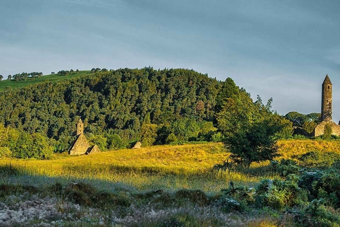 Shore Tour from Dublin: Wicklow Mountains & Dublin