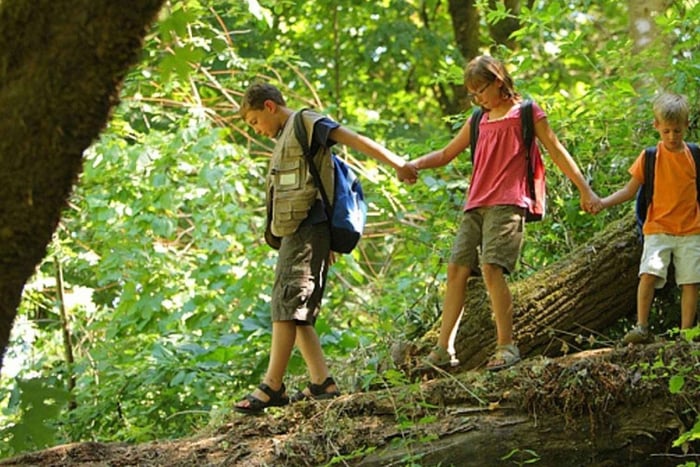 Tour de 1 dia para as montanhas Drakensberg e caminhada saindo de Durban