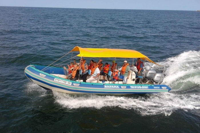 Durban: Tour in barca per l'osservazione delle balene e dei delfini