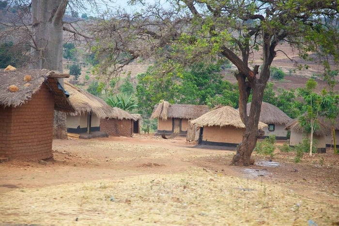 From Durban - Zulu and Nguni Isimangaliso area Village Tour