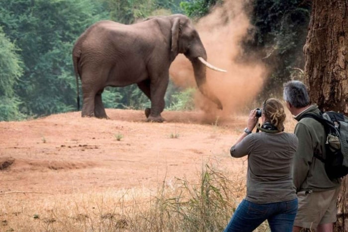 Isimangaliso dagtour & nijlpaard & krokodillen boottocht vanuit Durban