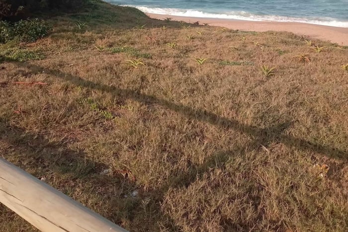 De geheimen van het strand van Umdloti met Dolphin Point en Tidal Pool