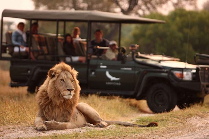 Fra Cape Town: 15 dagers fascinerende eventyr til Johannesburg