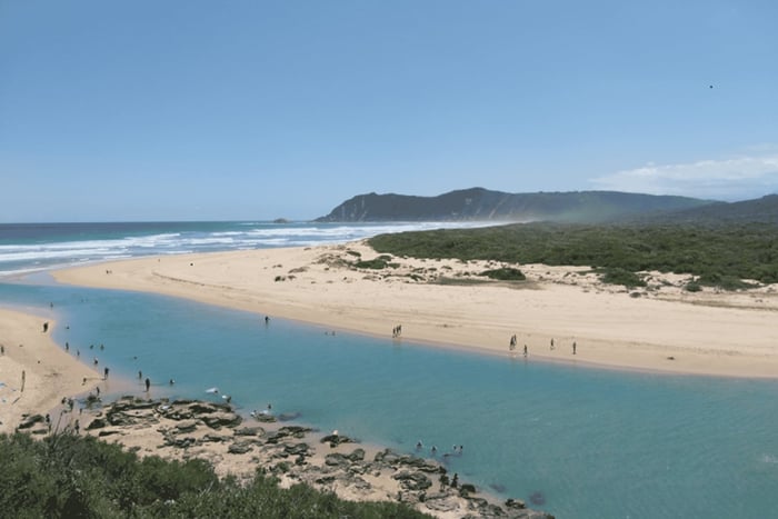 Cape Town: 3-Day Garden Route Safari, Hike, & Kayak Tour