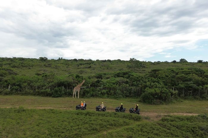 East London: Quad Bike Tour, Yacht Cruise, and Lunch