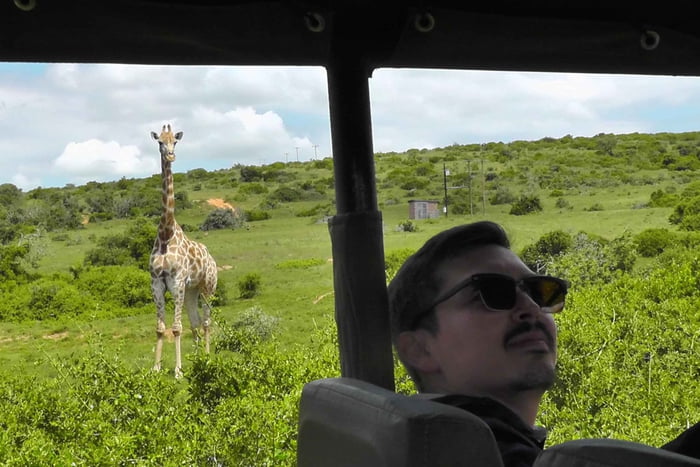 Porto Elizabeth: 2 dias de Schotia Safaris e Reserva de Vida Selvagem de Addo