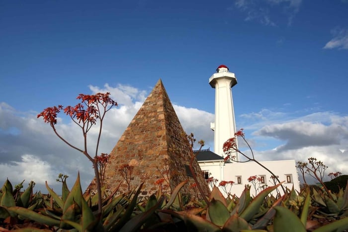 Port Elizabeth: neliveto villieläinsafari ja kaupunkikierros