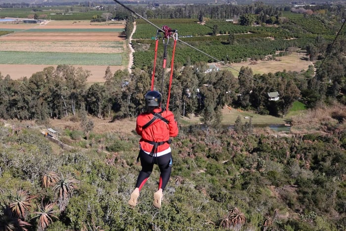Port Elizabeth: Addo Day Trip with Lunch