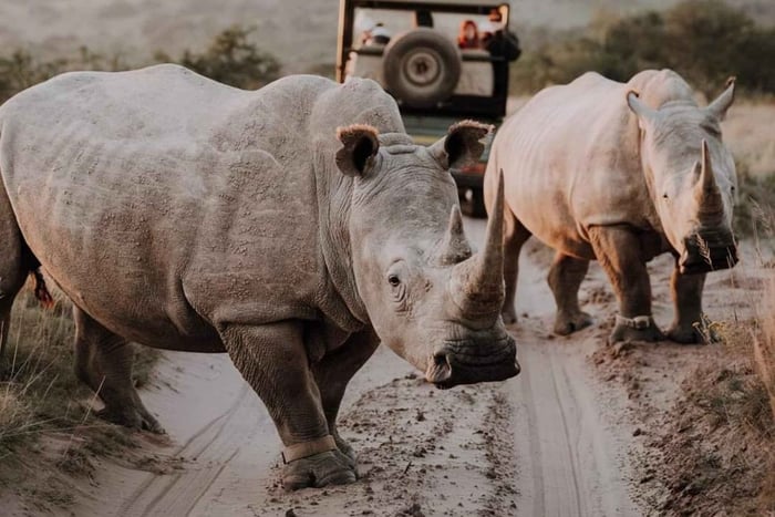 Port Elizabeth:Kragga Kamma Private game reserve safari