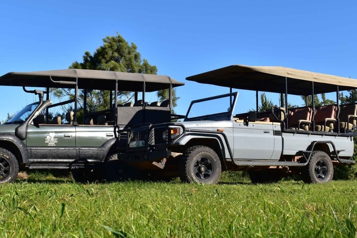 Safari i Schotia halvdagstur