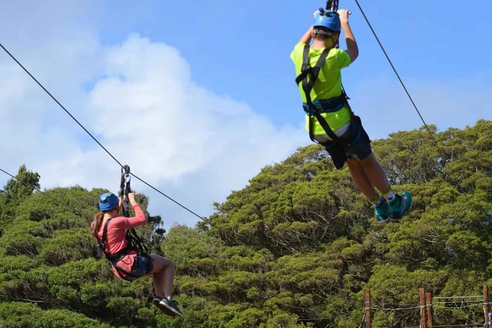 Tsitsikamma National Park: Zipline Canopy Tour