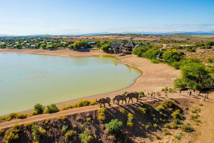Vanuit Kaapstad: Zuid-Afrikaanse wildlife en safari 2-daagse tour
