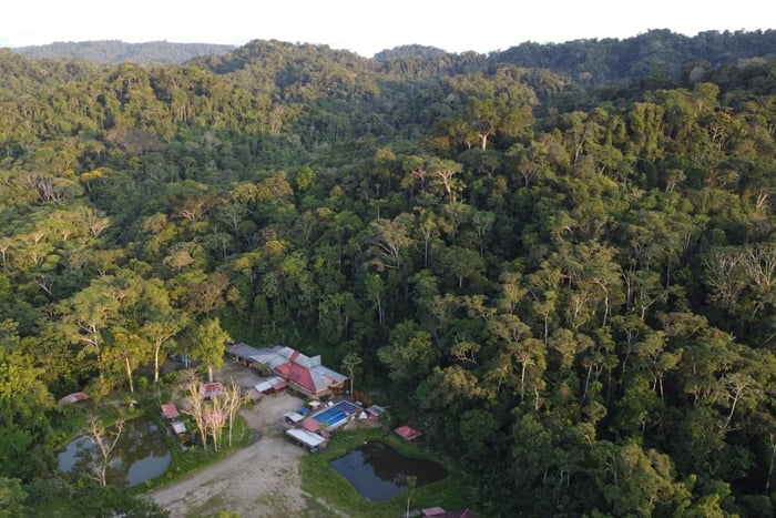 3 Day Jungle Tour Expedition Amazonia Ecuador All included
