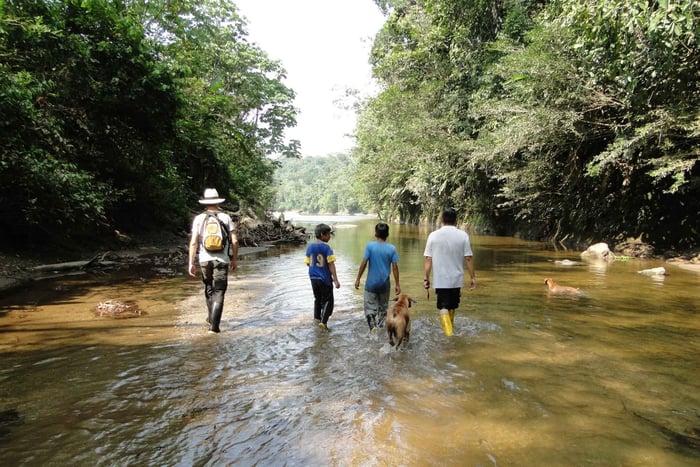 Excursión de un día 360° Expedición por la selva amazónica Ecuador