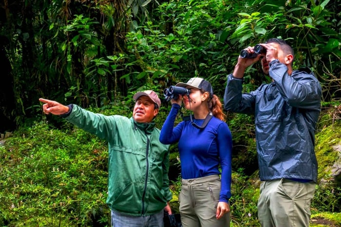 Baeza : observation d'oiseaux, rivière et cascades dans une forêt privée